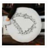 Floral South Carolina State Design Tire Cover